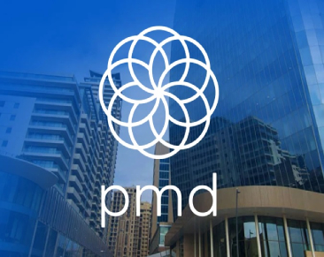 PMD Group PMD Group